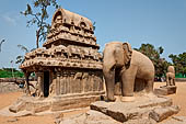 Mamallapuram - Tamil Nadu. The five Rathas. The Nakula Sahdeva Ratha with elephant carved  from a single stone stands next to it. 